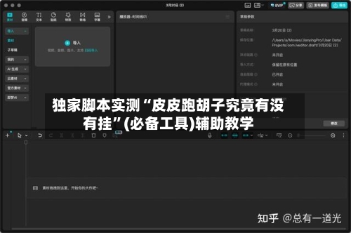 独家脚本实测“皮皮跑胡子究竟有没有挂”(必备工具)辅助教学-第2张图片