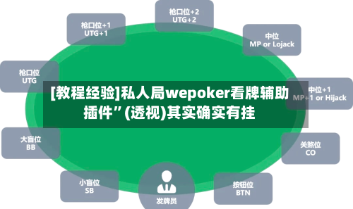 [教程经验]私人局wepoker看牌辅助插件	”(透视)其实确实有挂-第3张图片