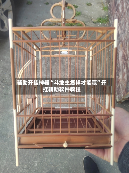 辅助开挂神器“斗地主怎样才能赢”开挂辅助软件教程-第3张图片