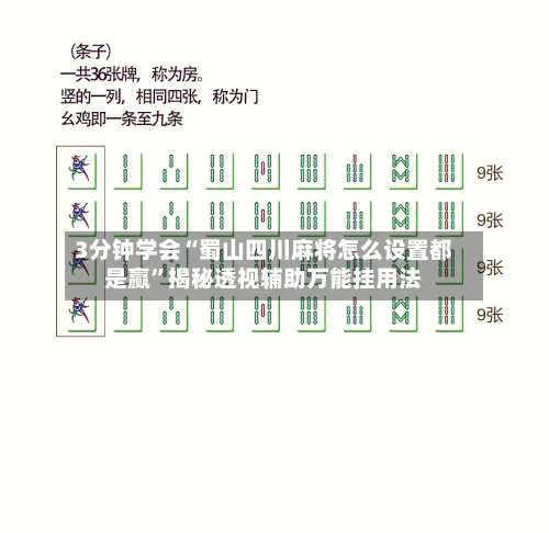 3分钟学会“蜀山四川麻将怎么设置都是赢”揭秘透视辅助万能挂用法-第1张图片