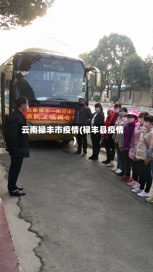 云南禄丰市疫情(禄丰县疫情)-第3张图片
