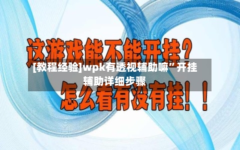 [教程经验]wpk有透视辅助嘛”开挂辅助详细步骤-第1张图片