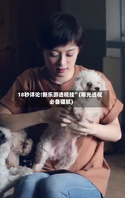 18秒详论!新乐游透视挂”(曝光透视必备猫腻)-第2张图片