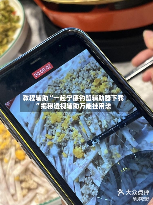 教程辅助“一起宁德钓蟹辅助器下载	”揭秘透视辅助万能挂用法-第2张图片