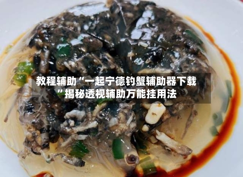 教程辅助“一起宁德钓蟹辅助器下载”揭秘透视辅助万能挂用法-第1张图片