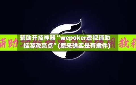 辅助开挂神器“wepoker透视辅助挂游戏亮点	”(原来确实是有插件)-第1张图片