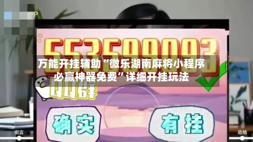 万能开挂辅助“微乐湖南麻将小程序必赢神器免费”详细开挂玩法-第2张图片