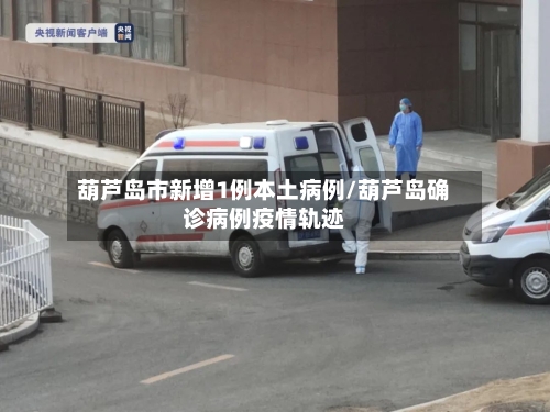 葫芦岛市新增1例本土病例/葫芦岛确诊病例疫情轨迹-第1张图片