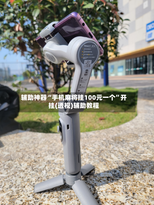 辅助神器“手机麻将挂100元一个”开挂(透视)辅助教程-第1张图片