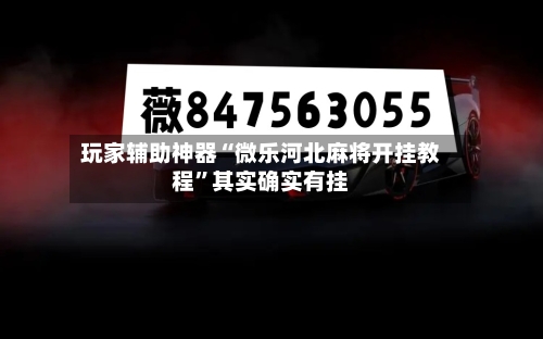 玩家辅助神器“微乐河北麻将开挂教程”其实确实有挂-第1张图片