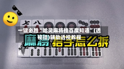 一键必胜“哈灵麻将挂百度知道”(透视挂)辅助透视教程-第2张图片