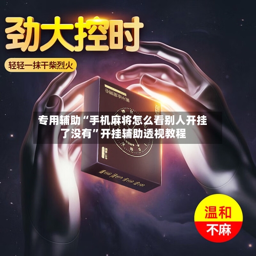 专用辅助“手机麻将怎么看别人开挂了没有”开挂辅助透视教程-第3张图片