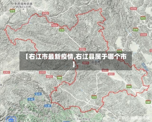 【右江市最新疫情,右江县属于哪个市】-第2张图片