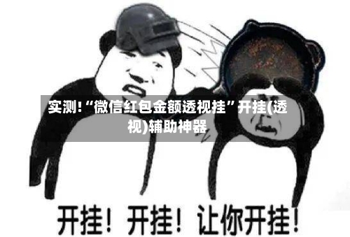 实测!“微信红包金额透视挂”开挂(透视)辅助神器-第2张图片