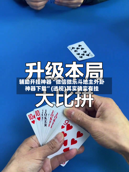 辅助开挂神器“微信微乐斗地主外卦神器下载	”(透视)其实确实有挂-第2张图片
