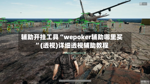辅助开挂工具“wepoker辅助哪里买	”(透视)详细透视辅助教程-第1张图片