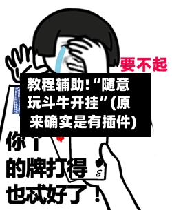 教程辅助!“随意玩斗牛开挂”(原来确实是有插件)-第1张图片