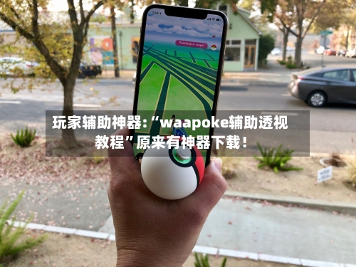 玩家辅助神器:“waapoke辅助透视教程”原来有神器下载！-第2张图片