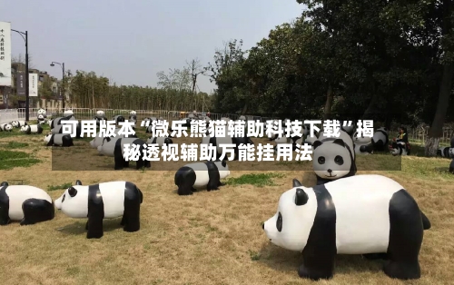 可用版本“微乐熊猫辅助科技下载	”揭秘透视辅助万能挂用法-第3张图片