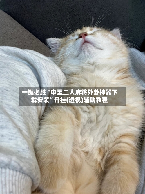 一键必胜“中至二人麻将外卦神器下载安装”开挂(透视)辅助教程-第1张图片