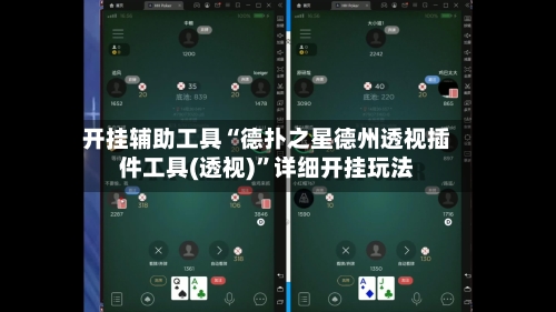开挂辅助工具“德扑之星德州透视插件工具(透视)”详细开挂玩法-第2张图片