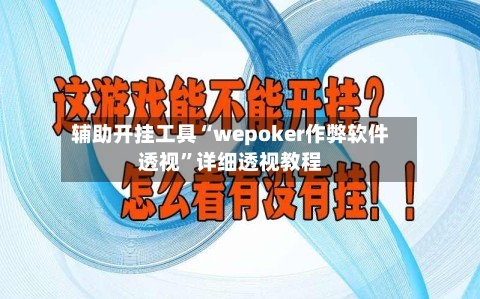 辅助开挂工具“wepoker作弊软件透视”详细透视教程-第1张图片