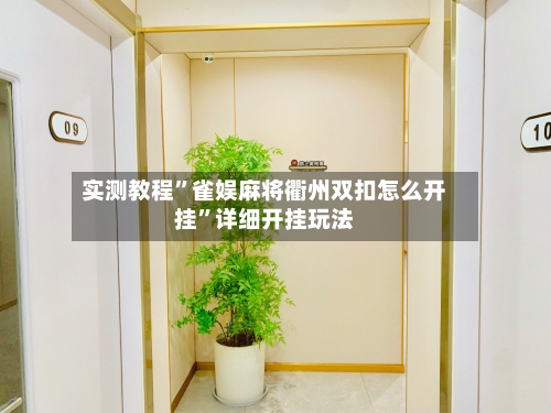 实测教程	”雀娱麻将衢州双扣怎么开挂”详细开挂玩法-第2张图片