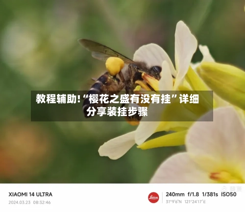 教程辅助!“樱花之盛有没有挂”详细分享装挂步骤-第1张图片