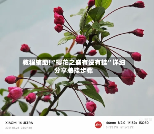 教程辅助!“樱花之盛有没有挂	”详细分享装挂步骤-第3张图片