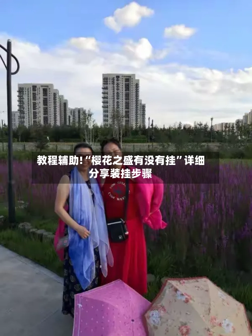 教程辅助!“樱花之盛有没有挂”详细分享装挂步骤-第2张图片