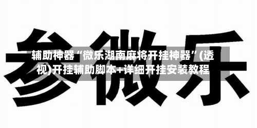 辅助神器“微乐湖南麻将开挂神器”(透视)开挂辅助脚本+详细开挂安装教程-第2张图片