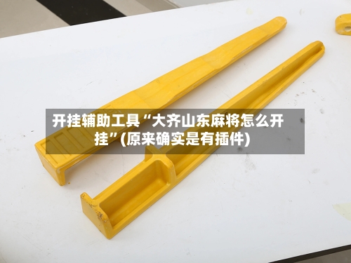 开挂辅助工具“大齐山东麻将怎么开挂”(原来确实是有插件)-第2张图片