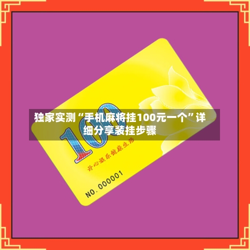 独家实测“手机麻将挂100元一个”详细分享装挂步骤-第3张图片