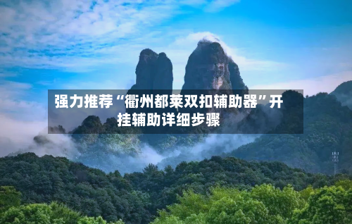 强力推荐“衢州都莱双扣辅助器”开挂辅助详细步骤-第2张图片