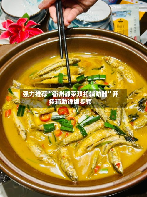 强力推荐“衢州都莱双扣辅助器”开挂辅助详细步骤-第3张图片