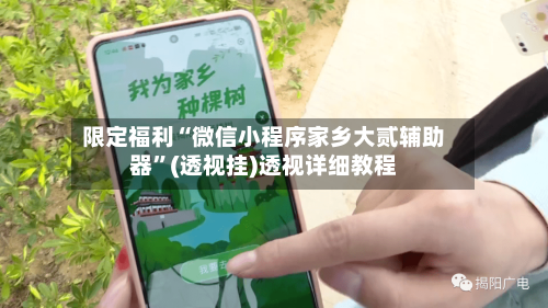 限定福利“微信小程序家乡大贰辅助器”(透视挂)透视详细教程-第3张图片