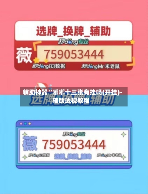 辅助神器“嘟嘟十三张有挂吗(开挂)-辅助透视教程-第3张图片