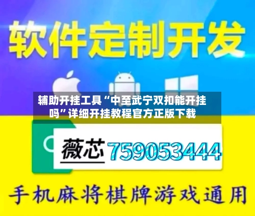 辅助开挂工具“中至武宁双扣能开挂吗”详细开挂教程官方正版下载-第2张图片