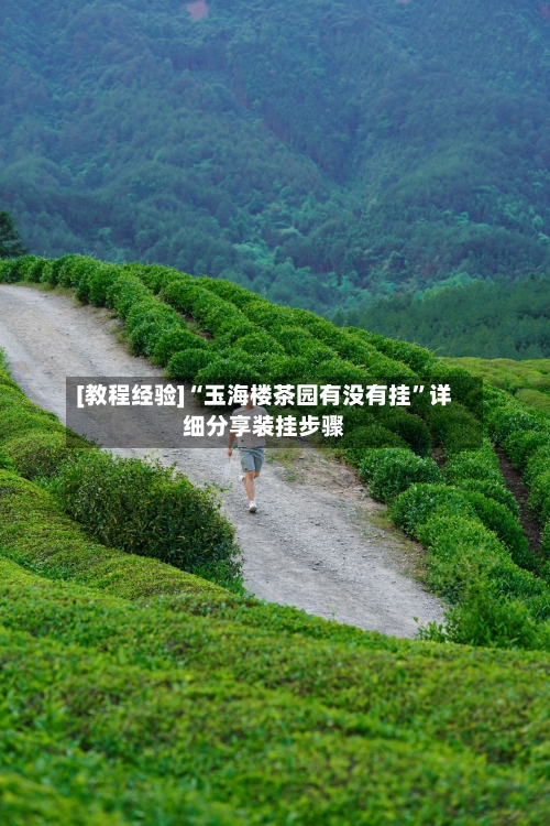 [教程经验]“玉海楼茶园有没有挂	”详细分享装挂步骤-第2张图片