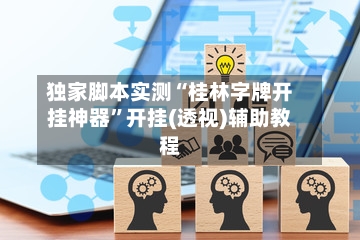 独家脚本实测“桂林字牌开挂神器”开挂(透视)辅助教程-第3张图片