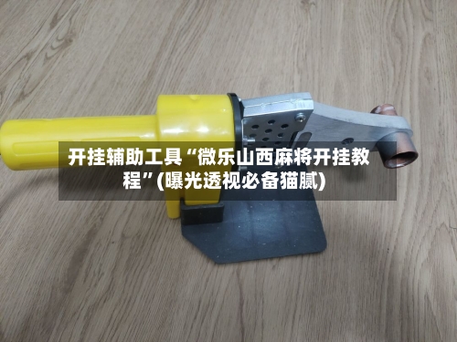 开挂辅助工具“微乐山西麻将开挂教程”(曝光透视必备猫腻)-第3张图片