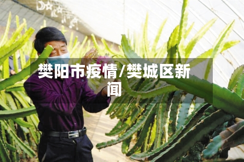 樊阳市疫情/樊城区新闻-第1张图片