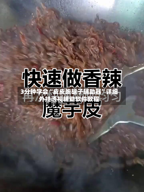 3分钟学会“皮皮跑胡子辅助器	”详细外挂透视辅助软件教程-第1张图片