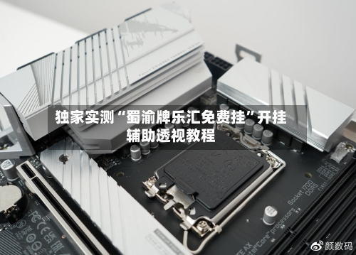 独家实测“蜀渝牌乐汇免费挂”开挂辅助透视教程-第1张图片