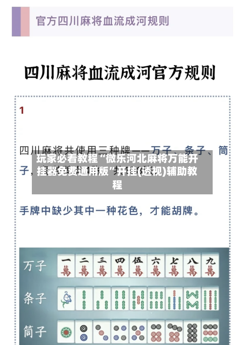 玩家必看教程“微乐河北麻将万能开挂器免费通用版	”开挂(透视)辅助教程-第3张图片