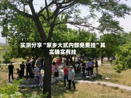 实测分享“家乡大贰内部免费挂	”其实确实有挂-第3张图片