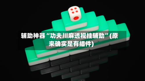 辅助神器“功夫川麻透视挂辅助”(原来确实是有插件)-第3张图片