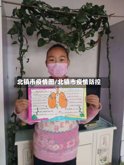 北镇市疫情图/北镇市疫情防控-第1张图片