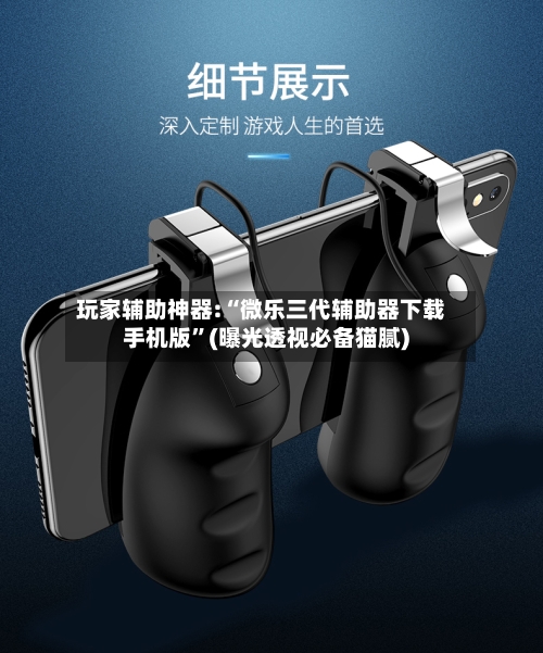 玩家辅助神器:“微乐三代辅助器下载手机版”(曝光透视必备猫腻)-第1张图片
