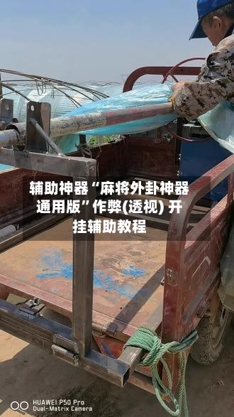 辅助神器“麻将外卦神器通用版”作弊(透视) 开挂辅助教程-第3张图片